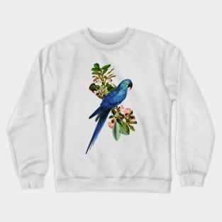 Blue Parrot Crewneck Sweatshirt